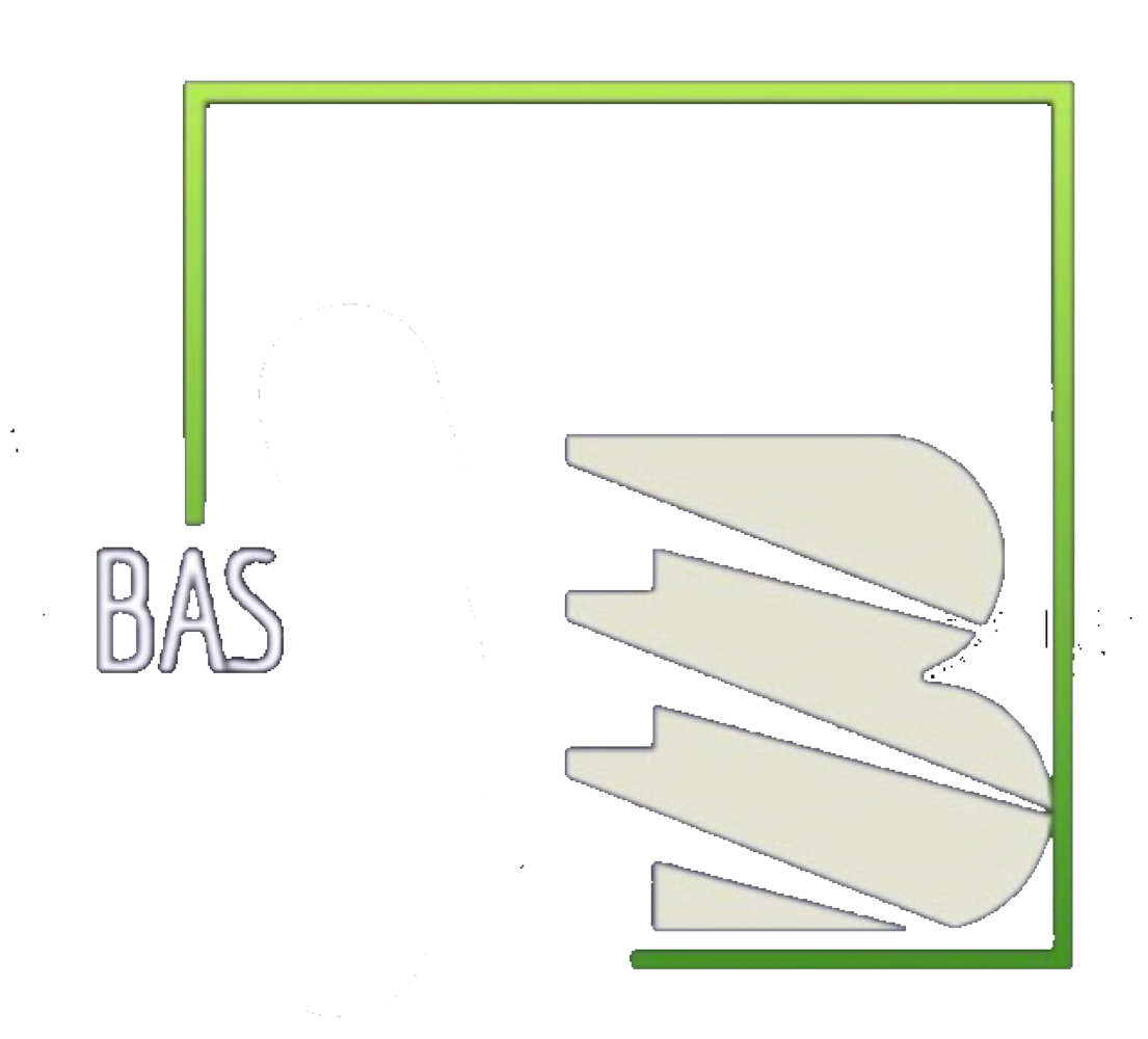 BAS Technology